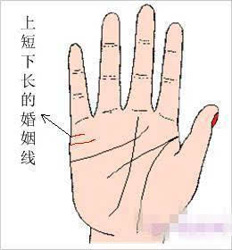 看手相和姻缘哪个准：揭秘看手相与姻缘的准与不准，科学与玄学的碰撞