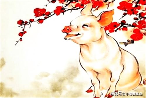 属猪今天结婚吉日是哪天:属猪人今日喜结良缘吉日全解析 属猪今天结婚吉日是哪天:属猪人今日喜结良缘吉日全解析