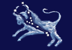 金牛是唯一治得了天蝎：金牛是唯一治得了天蝎？揭秘星座关系中的终极平衡法则