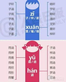 查看名字好不好:查看名字好不好,从音形义到大数据的全方位解析