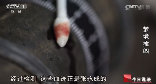 女人梦到满地蛆虫什么预兆:噩梦解析,女人梦到满地蛆虫的深层隐喻与现实启示