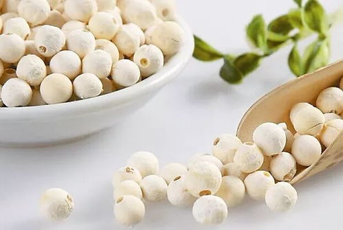 芡实怎么吃补肾:芡实,健脾祛湿、补肾固精的养生食材,这样吃效果更好! 芡实怎么吃补肾:芡实,健脾祛湿、补肾固精的养生食材,这样吃效果更好!