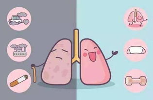 慢阻肺是一种什么病:认识慢阻肺,呼吸系统的沉默挑战者 慢阻肺是一种什么病:认识慢阻肺,呼吸系统的沉默挑战者