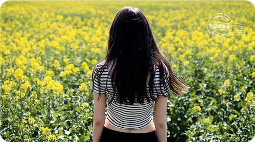 女人梦见换房子是什么预兆:女人梦见换房子是什么预兆?