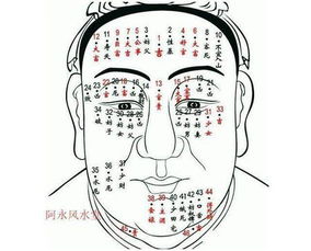 脸上十大吉痣:面相学中的吉痣图谱,十大福运之兆与科学解读 脸上十大吉痣:面相学中的吉痣图谱,十大福运之兆与科学解读