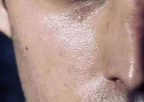 螨虫图片：看不见的威胁，螨虫图片背后的惊人真相！