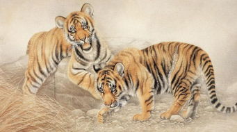 虎的最佳四个贵人是谁:十二生肖中,虎的四大贵人,马、狗、猪与兔,助力人生跃升新台阶