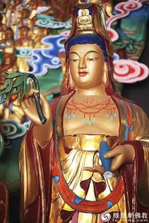 孙陀罗尊者求姻缘:孙陀罗尊者的宿命之求,一场跨越轮回的姻缘追寻