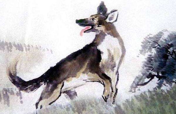 属狗人命里带二婚:属狗人命里带二婚,解析命运轨迹与人生转机