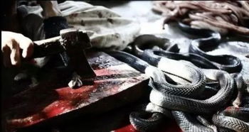 梦见别人把蛇打死了是什么意思:解密梦境,梦见别人把蛇打死是什么意思?