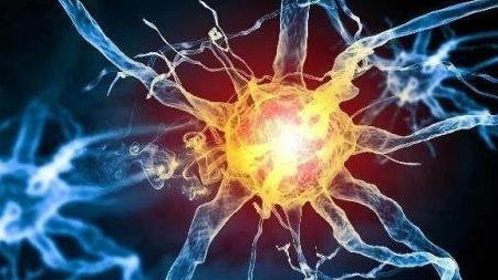 弥可保的功效与作用:弥可保,神经系统修复的守护者,你知道它的功效与作用吗? 弥可保的功效与作用:弥可保,神经系统修复的守护者,你知道它的功效与作用吗?