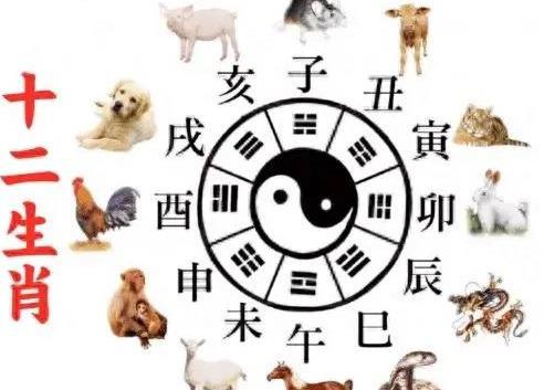 十二生肖每月运程大全:十二生肖每月运程大全,2024年运势解析与吉祥建议 十二生肖每月运程大全:十二生肖每月运程大全,2024年运势解析与吉祥建议