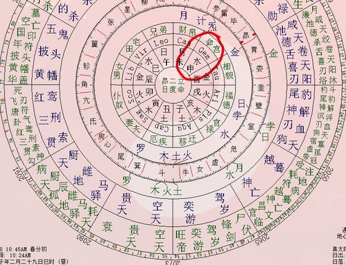 算今年运势:揭秘2025年运势玄机,八字、紫微、塔罗,多种方法助你一臂之力! 算今年运势:揭秘2025年运势玄机,八字、紫微、塔罗,多种方法助你一臂之力!
