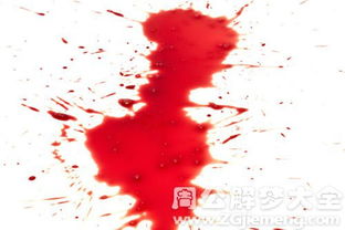 梦到见血了是好还是不好:梦到见血,解密梦境背后的隐藏信息 梦到见血了是好还是不好:梦到见血,解密梦境背后的隐藏信息