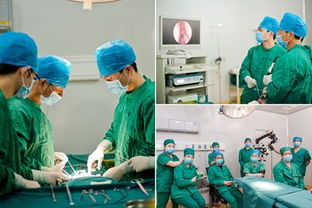 现代泌尿专科医院:现代泌尿专科医院,守护男性健康,引领精准诊疗新时代 现代泌尿专科医院:现代泌尿专科医院,守护男性健康,引领精准诊疗新时代