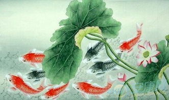 孕妇梦见鱼是什么胎梦:孕妇梦见鱼是什么胎梦?传统文化与科学解析 孕妇梦见鱼是什么胎梦:孕妇梦见鱼是什么胎梦?传统文化与科学解析