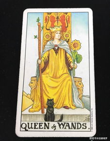 测他嫉妒你的原因塔罗牌:测他嫉妒你的原因,塔罗牌揭示隐藏动机