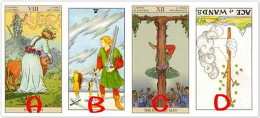 测他嫉妒你的原因塔罗牌:测他嫉妒你的原因,塔罗牌揭示隐藏动机 测他嫉妒你的原因塔罗牌:测他嫉妒你的原因,塔罗牌揭示隐藏动机