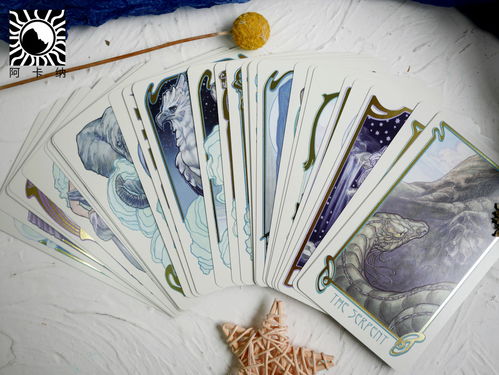 买塔罗牌还要买神谕卡么:塔罗牌与神谕卡,你真的需要两者都拥有吗?