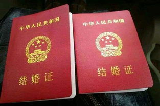 2020扯结婚证吉日:2020扯结婚证吉日,传统与现代的完美结合 2020扯结婚证吉日:2020扯结婚证吉日,传统与现代的完美结合