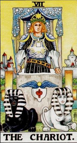 塔罗牌测肖战正缘类型:塔罗牌揭秘,肖战正缘类型,是甜妹还是高冷御姐?