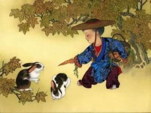 87年属兔人三大坎:揭秘!87年属兔人三大人生坎,如何顺利跨越?