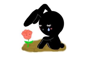 87年属兔人三大坎:揭秘!87年属兔人三大人生坎,如何顺利跨越? 87年属兔人三大坎:揭秘!87年属兔人三大人生坎,如何顺利跨越?