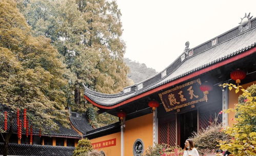 杭州哪个寺求姻缘最灵:杭州求姻缘必去的3大寺庙,民间传说与游客见证,心诚则灵!