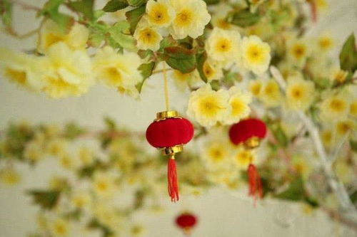 属蛇的女孩 结婚吉日:属蛇女孩的幸福婚期,传统择日指南