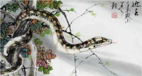 蛇人运气和姻缘如何:蛇年运势与姻缘,2025年蛇人的机遇与挑战 蛇人运气和姻缘如何:蛇年运势与姻缘,2025年蛇人的机遇与挑战