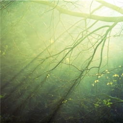 梦见很多新坟墓是什么预兆:梦里新坟背后隐藏的秘密,梦见很多新坟墓是什么预兆? 梦见很多新坟墓是什么预兆:梦里新坟背后隐藏的秘密,梦见很多新坟墓是什么预兆?