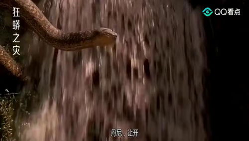 男人梦见大蟒蛇追自己:解密梦境,男人梦见大蟒蛇追自己,潜意识在告诉你什么? 男人梦见大蟒蛇追自己:解密梦境,男人梦见大蟒蛇追自己,潜意识在告诉你什么?