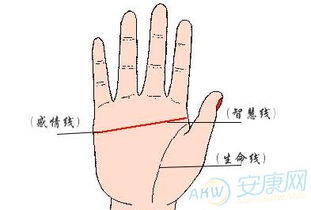 男人右手断掌十个九个败:断掌十败九负,从传统医学到现代康复的生存启示 男人右手断掌十个九个败:断掌十败九负,从传统医学到现代康复的生存启示