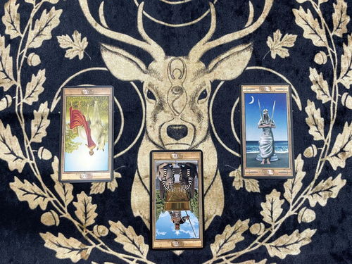 塔罗牌金牛座十一月:金牛座的十一月,塔罗牌揭示的稳定与变化 塔罗牌金牛座十一月:金牛座的十一月,塔罗牌揭示的稳定与变化