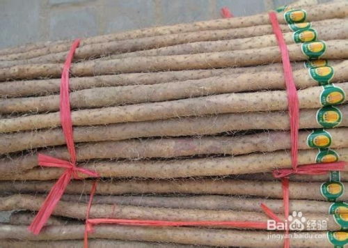 铁棍山药的功效与作用:铁棍山药的神奇功效与作用,你了解多少? 铁棍山药的功效与作用:铁棍山药的神奇功效与作用,你了解多少?