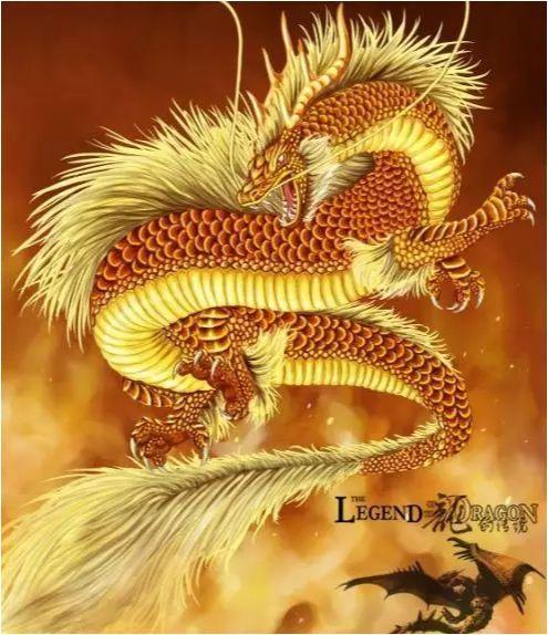 属龙的人不能佩戴什么:属龙人佩戴禁忌全解析,这些物品千万别碰! 属龙的人不能佩戴什么:属龙人佩戴禁忌全解析,这些物品千万别碰!