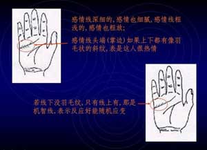 算命基础入门自学:算命基础入门自学指南,从零开始掌握传统命理的核心方法 算命基础入门自学:算命基础入门自学指南,从零开始掌握传统命理的核心方法