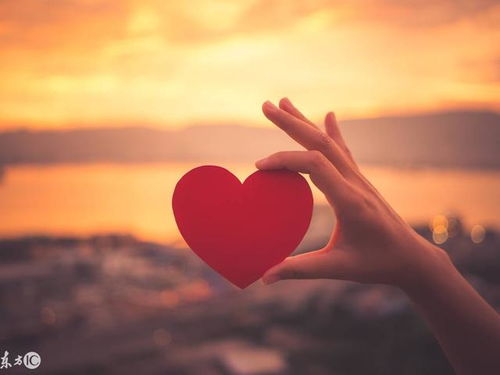 挽回双子男的致命绝招:3步破解双子男的心墙,让他主动回头,心理学视角下的致命吸引力法则 挽回双子男的致命绝招:3步破解双子男的心墙,让他主动回头,心理学视角下的致命吸引力法则