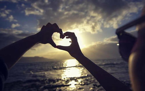 挽回双子男的致命绝招:3步破解双子男的心墙,让他主动回头,心理学视角下的致命吸引力法则 挽回双子男的致命绝招:3步破解双子男的心墙,让他主动回头,心理学视角下的致命吸引力法则