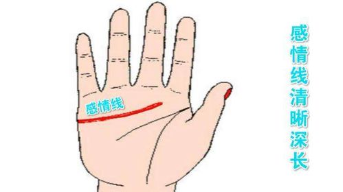 手相姻缘线在哪里看:手相中的姻缘线,如何看懂你的爱情命运? 手相姻缘线在哪里看:手相中的姻缘线,如何看懂你的爱情命运?
