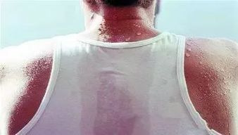 脸部脂肪多怎么瘦:告别圆脸!科学减脂,有效减少脸部脂肪 脸部脂肪多怎么瘦:告别圆脸!科学减脂,有效减少脸部脂肪