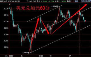 尾盘:纳斯达克转涨,科技股收复部分失地 尾盘:纳斯达克转涨,科技股收复部分失地