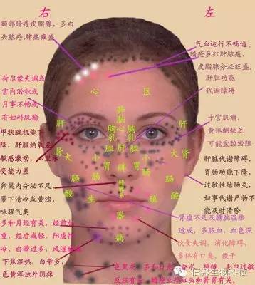 各个部位疼痛对照图:图解健康,认识身体疼痛的地图—各个部位疼痛对照图详解 各个部位疼痛对照图:图解健康,认识身体疼痛的地图—各个部位疼痛对照图详解