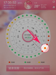 卯时是几点到几点:卯时养生指南,清晨5点至7点的黄金时段如何把握? 卯时是几点到几点:卯时养生指南,清晨5点至7点的黄金时段如何把握?