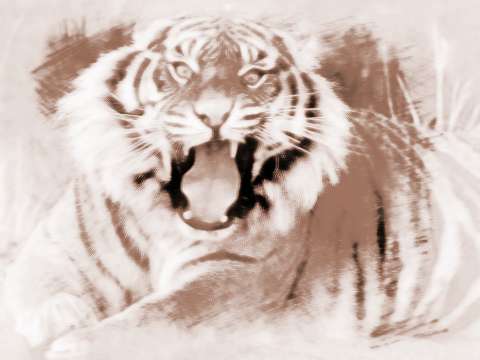 梦见吃肉是什么意思周公解梦:梦见吃肉是什么意思?周公解梦告诉你答案 梦见吃肉是什么意思周公解梦:梦见吃肉是什么意思?周公解梦告诉你答案