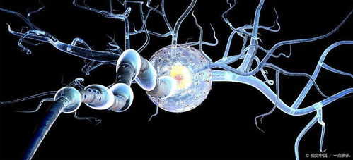 植物神经紊乱怎样才能调整过来：植物神经紊乱怎样才能调整过来？科学应对与自我调适指南