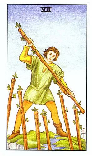 塔罗牌占卜老板眼中的我:塔罗牌占卜,老板眼中的我—一场神秘的职场启示