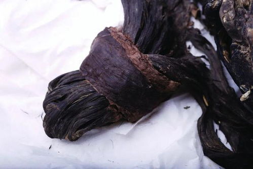 已婚女人梦见黑色新棺材:解密已婚女性梦见黑色新棺材,梦境背后的隐喻与释然 已婚女人梦见黑色新棺材:解密已婚女性梦见黑色新棺材,梦境背后的隐喻与释然