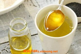 橄榄油怎么吃的正确方法:橄榄油的正确吃法,健康与美味的完美结合 橄榄油怎么吃的正确方法:橄榄油的正确吃法,健康与美味的完美结合