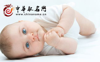 宝宝五行取名字大全免费：科学搭配，吉祥如意—宝宝五行取名字大全免费指南（附姓名测试工具）